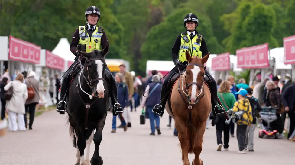 Soldier From King's Troop Dies After Royal Windsor Horse Show Fall