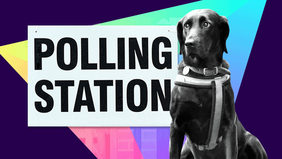 Millions Across UK Vote 7 May in Scottish, Welsh, English Local and Mayoral Elections