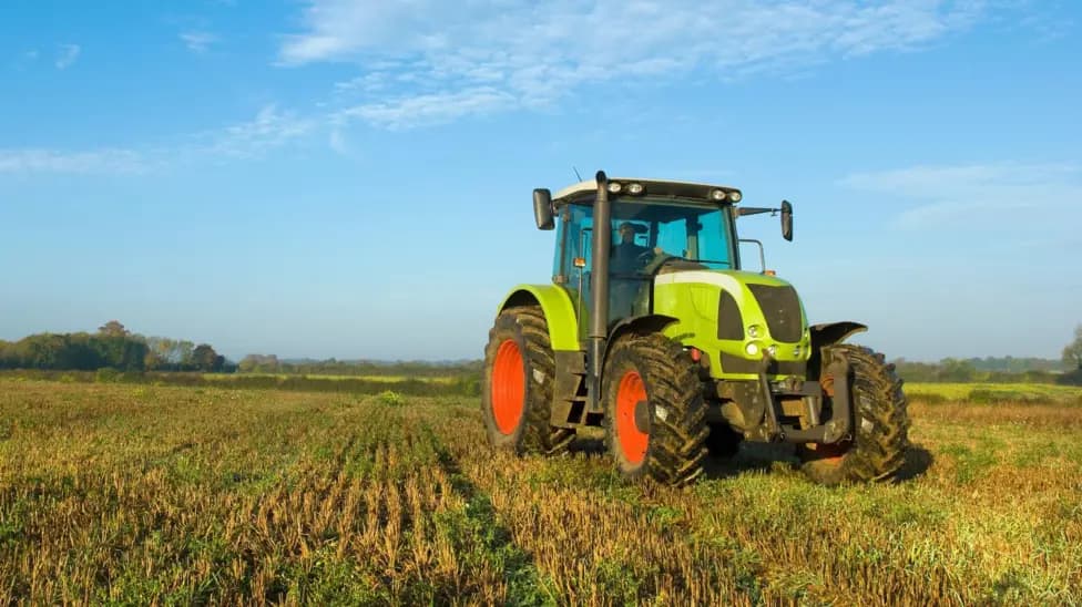 Campaigners Demand UK Ban on Glyphosate as Pre-Harvest Crop Desiccant Amid Health Concerns