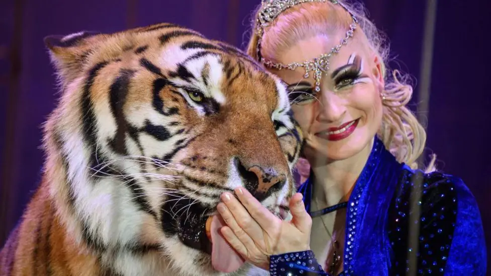 German Police Shoot Escaped Tiger in Leipzig After Attack on 72-Year-Old Keeper