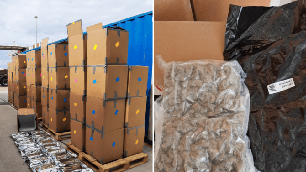 Southampton Port Target of Record 12-Tonne Cannabis Importation from Canada