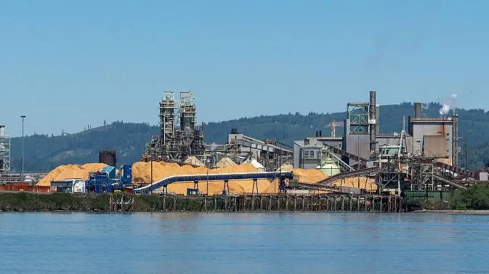 Fatalities Confirmed After Chemical Tank Ruptures at Washington Paper Mill
