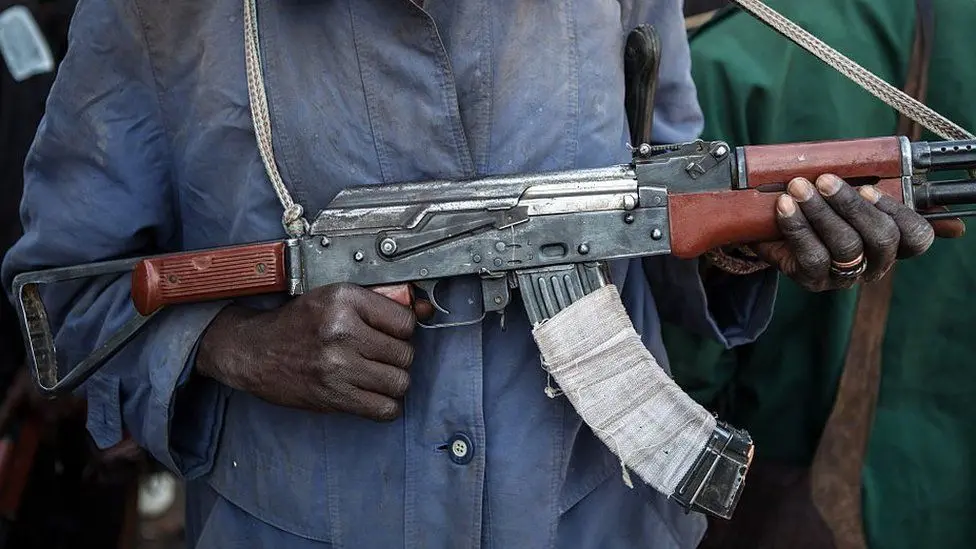 Mussa, Borno State: Gunmen Kidnap Over 50 Schoolchildren, Toddlers Among Missing