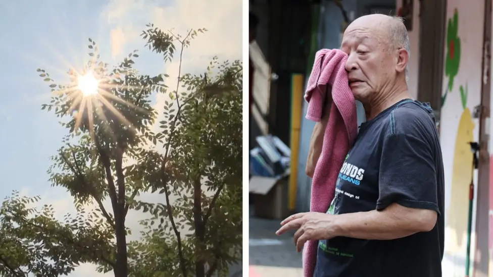 South Korea Records 42.5C Temperature as Heatwave Claims 19 Lives