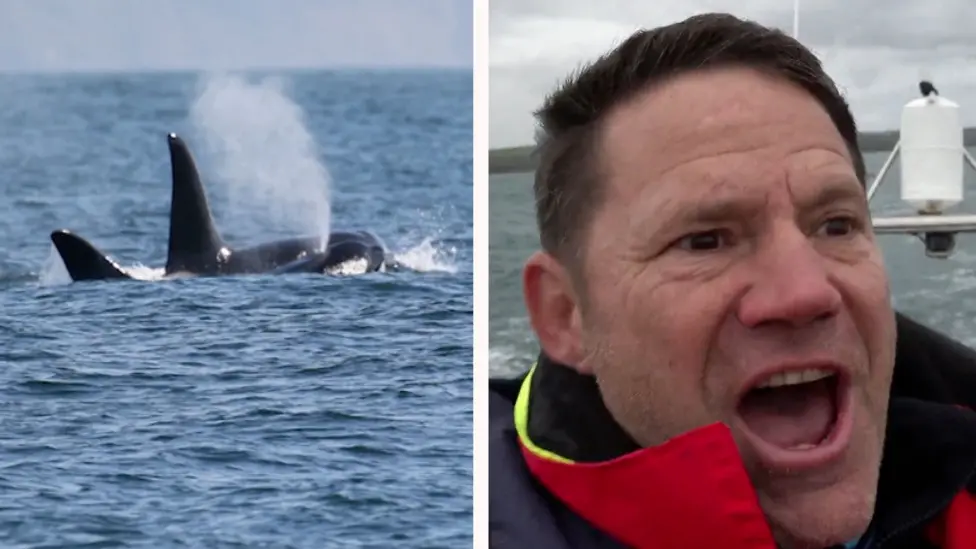 Renowned Naturalist Steve Backshall Documents Rare UK Orca Sighting