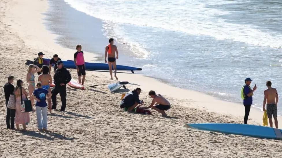 Woman Suffers Serious Injuries in Coogee Beach Shark Attack, Sydney Emergency Services Confirm